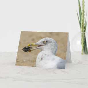 Grußkarte - Seagull mit Mussel Karte