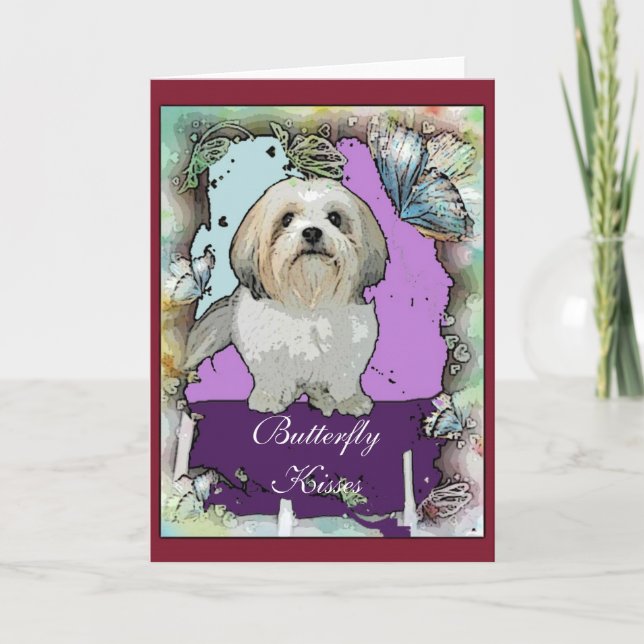 Grußkarte Shih Tzu Karte (Vorderseite)