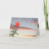 Grußkarte - Single Rose bei Sonnenuntergang