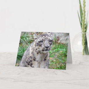 Grußkarte Snow Leopard Karte