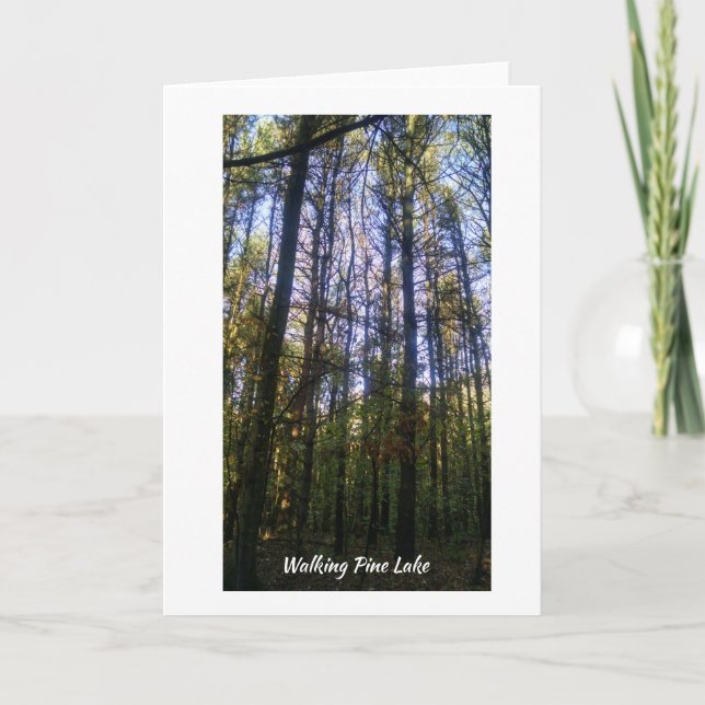 Grußkarte - Sommerspaziergang am Pine Lake Karte (Vorderseite)