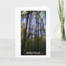Grußkarte - Sommerspaziergang am Pine Lake