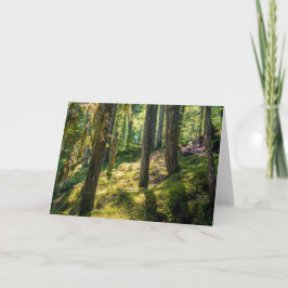 Grußkarte Sonnenlicht-Wälder (Leere) Karte