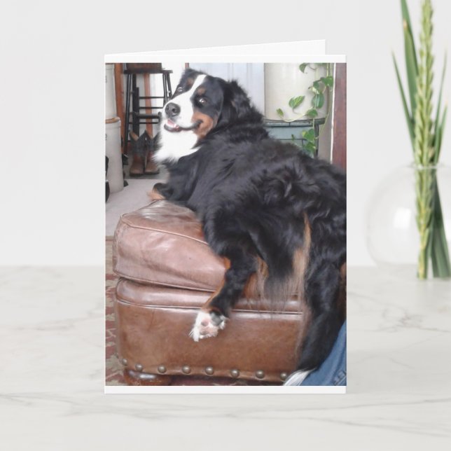 Grußkarte, Standard-weiße Umschläge inklusive Karte (Vorderseite)