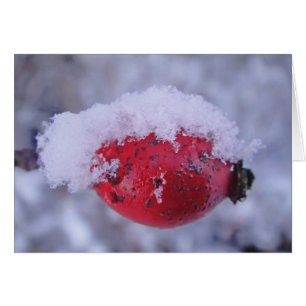 Grusskarte, verschneite Hagebutte, decke