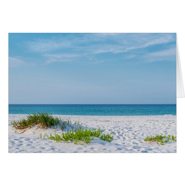 Grußkarte von White Sandy Beach Florida (Vorderseite (Horizontal))