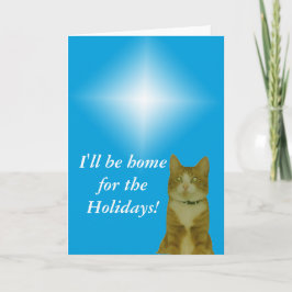 Grußkarte - Weihnachtsstern und Katze Feiertagskarte