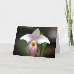 Grußkarte Weiß/Rosa Orchidee Karte