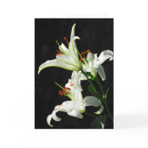 Grußkarte "White Lilies"