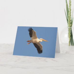 Grußkarte White Pelican Karte