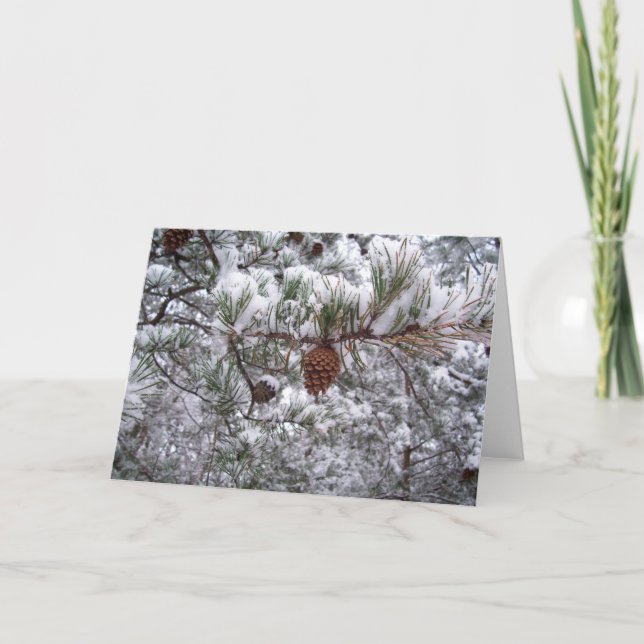 Grußkarte - Winterpine Feiertagskarte (Vorderseite)