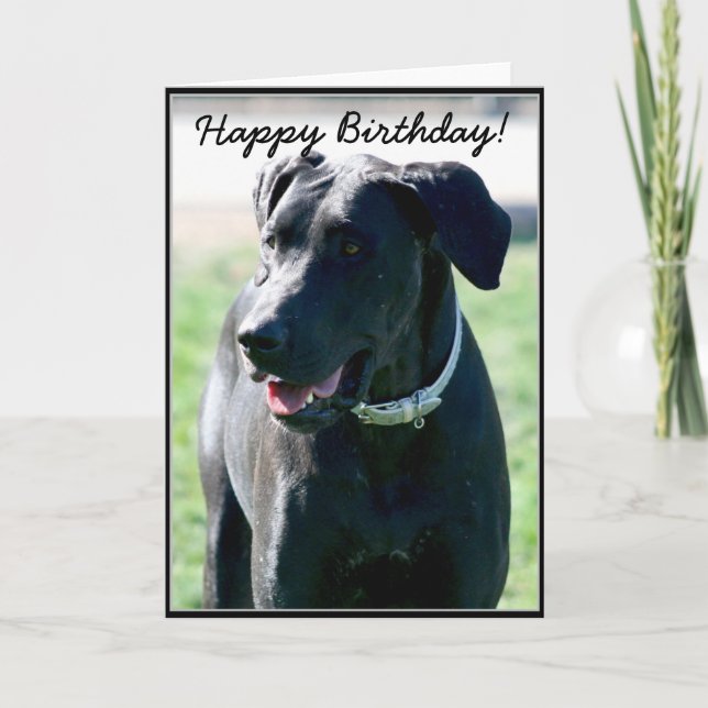 Grußkarte zum Geburtstag Black Great Dane Karte (Vorderseite)