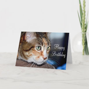 Grußkarte zum Geburtstag der Katzenjacke Karte