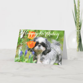 Grußkarte zum Geburtstag Shitzu Girl Karte