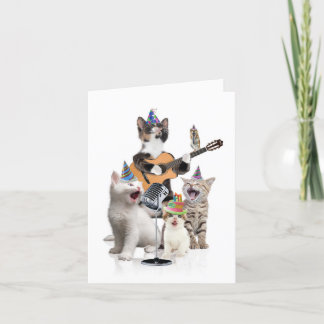 Grußkarte zum Geburtstag - Tierbänder - Katzen Feiertagskarte