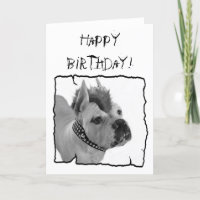 Grußkarte zum Geburtstag White Boxer Punk