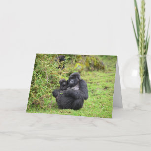 Grußkarten Dian Fossey Gorilla Fund Karte