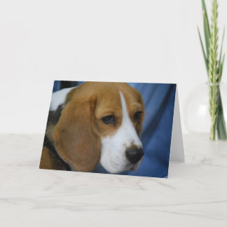 Grußkarten für niedliche Beagle Karte