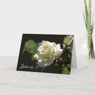 Grußkarten für Wild White Rose Einladung
