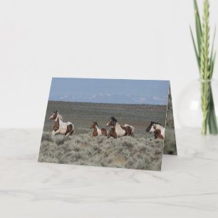 Grußkarten für Wilde Pferde - Tabu führt den Weg Dankeskarte