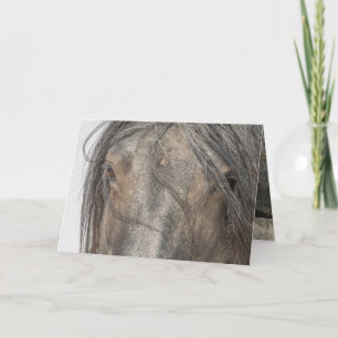 Grußkarten für Wildpferde - Augen des blauen Zeus Dankeskarte