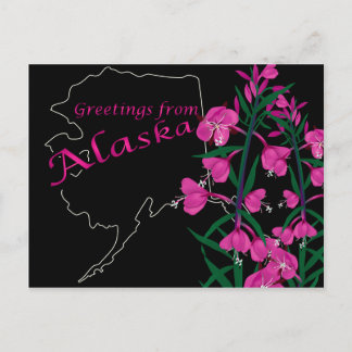 Grußkarten von Alaska Postkarte