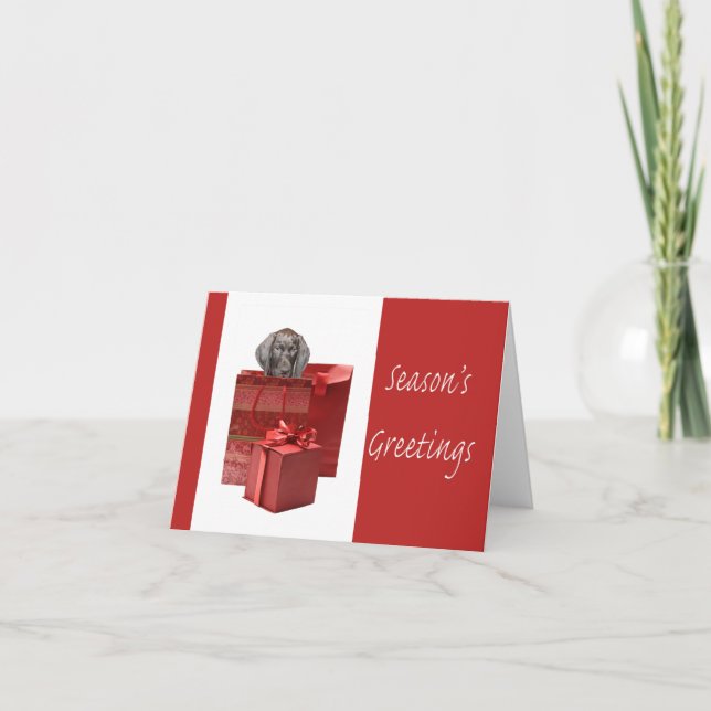 Grußwort der Saison: Kurzhaarzeiger Feiertagskarte (Vorderseite)