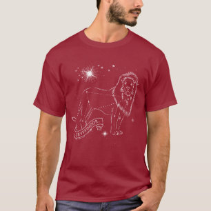GRYFFINDOR™ Constellation Graphic T-Shirt