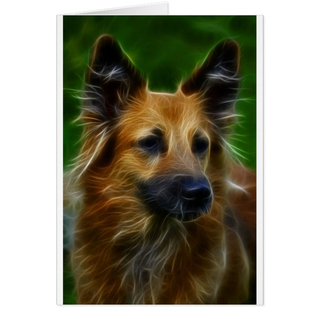 GSD German Shepherd pic (Vorne)