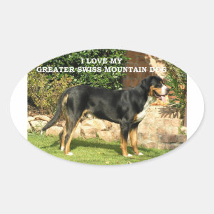 gsmd Liebe w pic Ovaler Aufkleber