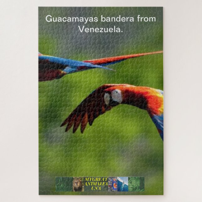 Guacamayas Bandera aus Venezuela Puzzle. Puzzle (Vertikal)