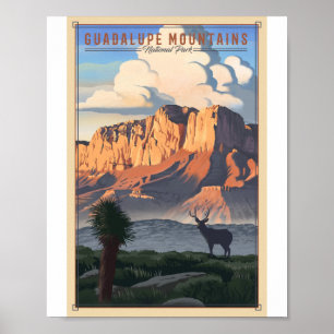 Guadalupe Nationalpark Locarno Poster