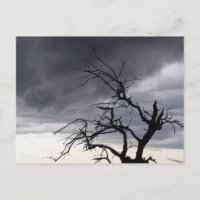 Guadalupe Storm