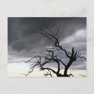 Guadalupe Storm Postkarte