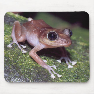 Guajon Mousepad