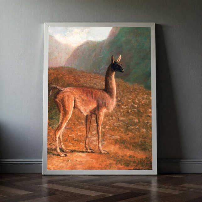 Guanaco (ca. 1848) Gemälde von Jacques-Laurent Ag Poster (Von Creator hochgeladen)