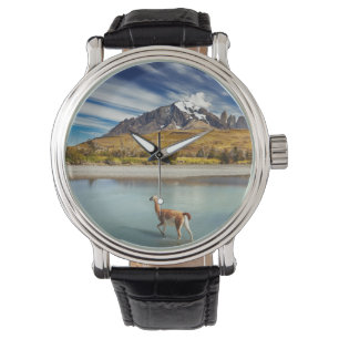 Guanaco, der den Fluss in Torres Del Paine kreuzt Armbanduhr