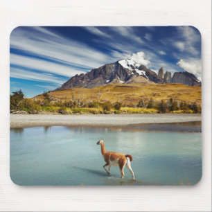 Guanaco, der den Fluss in Torres Del Paine kreuzt Mousepad