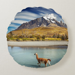 Guanaco, der den Fluss in Torres Del Paine kreuzt Rundes Kissen
