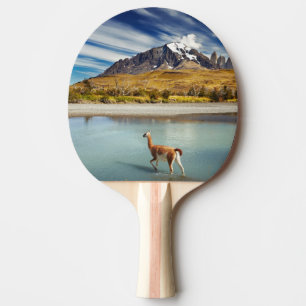 Guanaco, der den Fluss in Torres Del Paine kreuzt Tischtennis Schläger