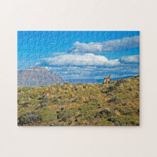 Guanaco-Land, Patagonia Puzzle