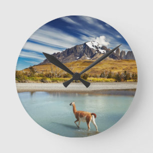 Guanaco überquert den Fluss in Torres del Paine Runde Wanduhr