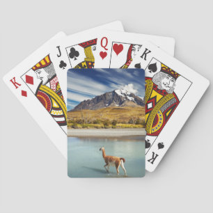 Guanaco überquert den Fluss in Torres del Paine Spielkarten