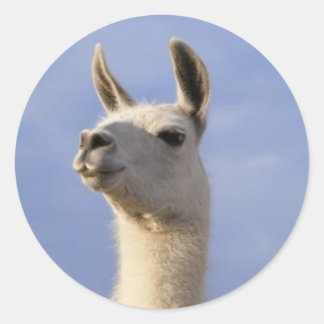Guard Llama Runder Aufkleber
