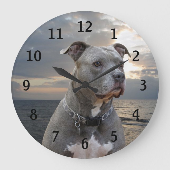 Guardian Pitbull Wall Clock Große Wanduhr (Vorderseite)