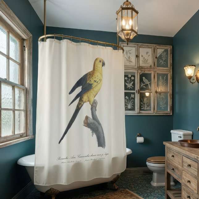 Guarouba dans söhns jüdisches Alter / Sonnenparake Duschvorhang (Guarouba dans sons jeune age / Sun parakeet. Shower Curtain)