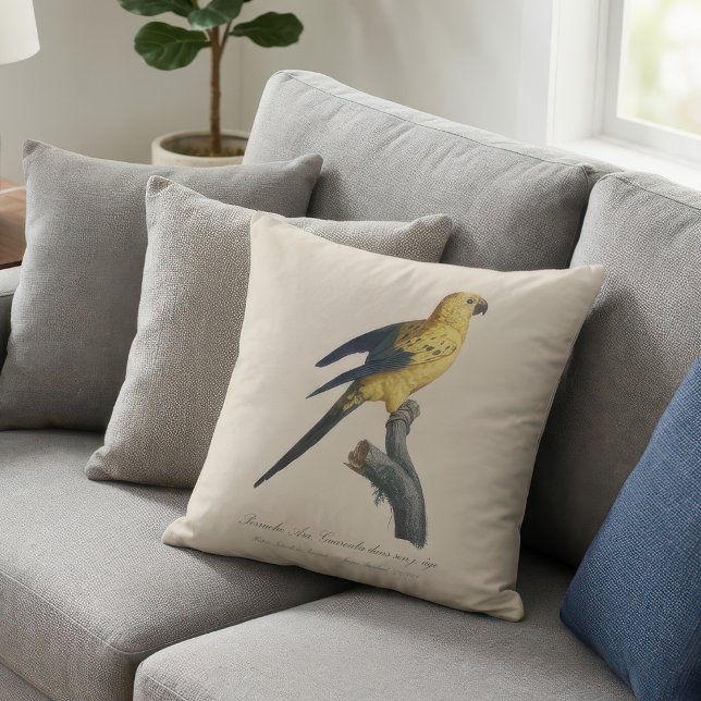 Guarouba dans söhns jüdisches Alter / Sonnenparake Kissen (Guarouba dans sons jeune age / Sun parakeet. Throw Pillow)
