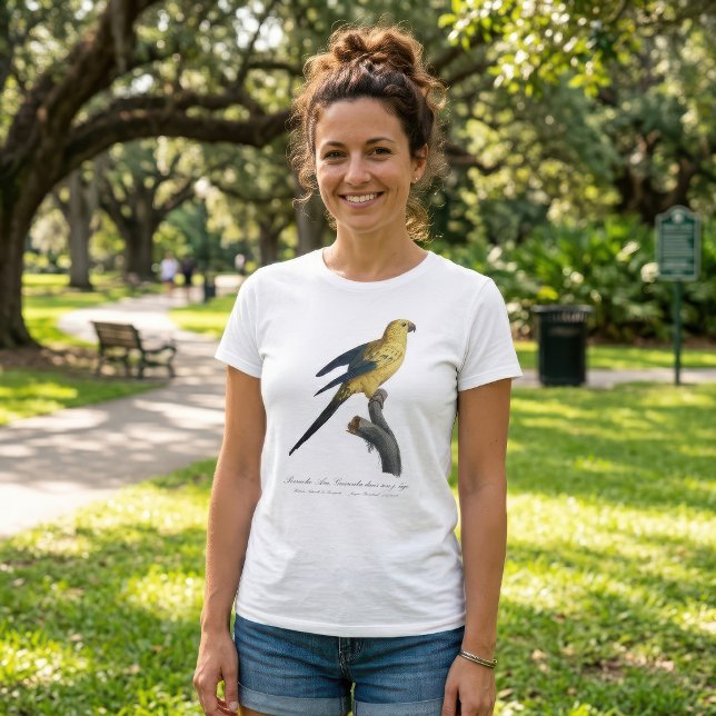 Guarouba dans söhns jüdisches Alter / Sonnenparake T-Shirt (Guarouba dans sons jeune age / Sun parakeet. Women Basic White T-Shirt)