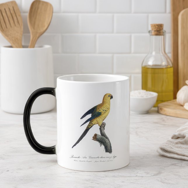 Guarouba dans söhns jüdisches Alter / Sonnenparake Verwandlungstasse (Guarouba dans sons jeune age / Sun parakeet. Color Morph Mug)