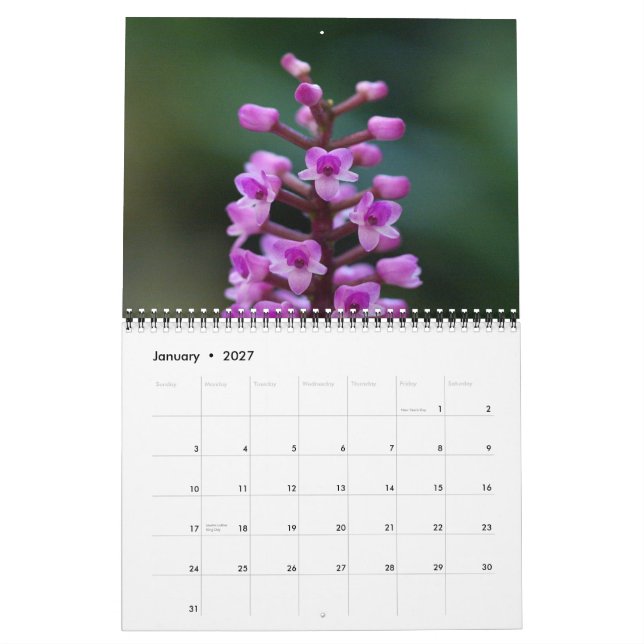Guatemaltekischer Orchideen-Kalender Kalender (Jan 2027)